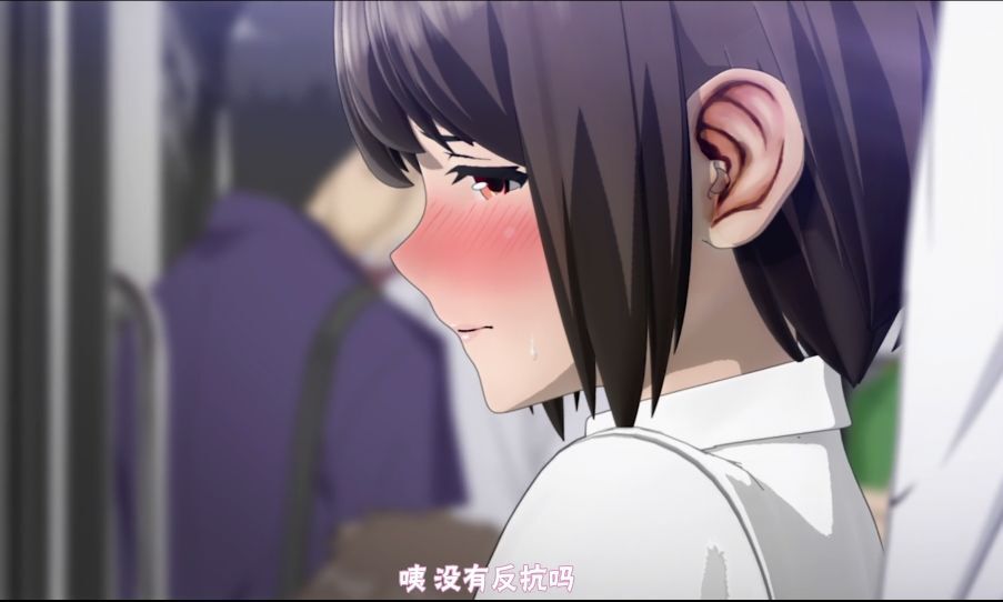 694-纯爱动漫推荐-电车上遇到的女高中生[慈历2部]